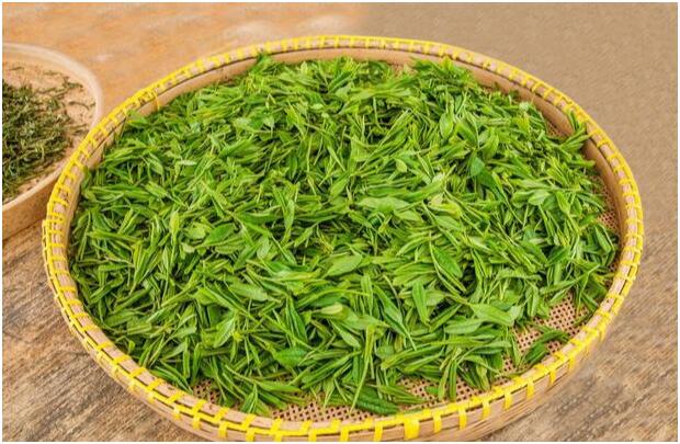 绿茶提取物生产控制关键点